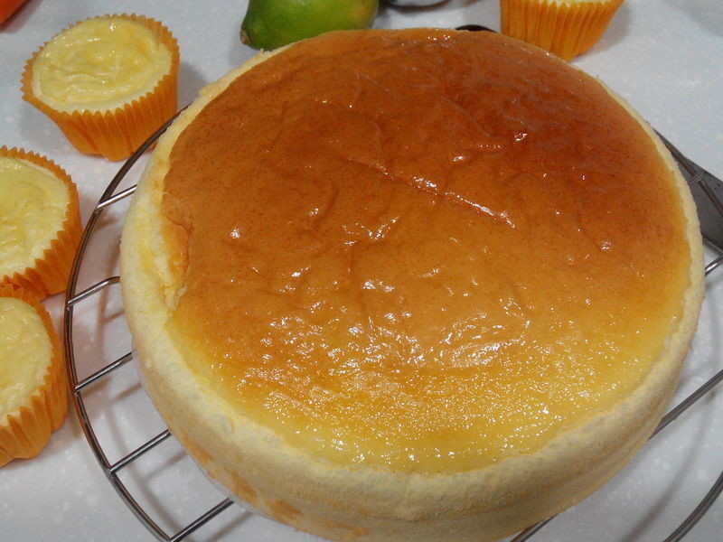 �ݷ���˾����(��˾Ƭ�䷽)������