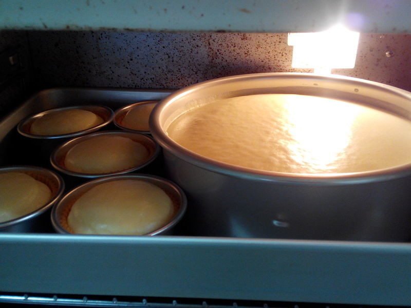 �ݷ���˾����(��˾Ƭ�䷽)������