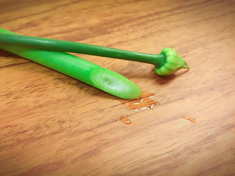 ���л������������