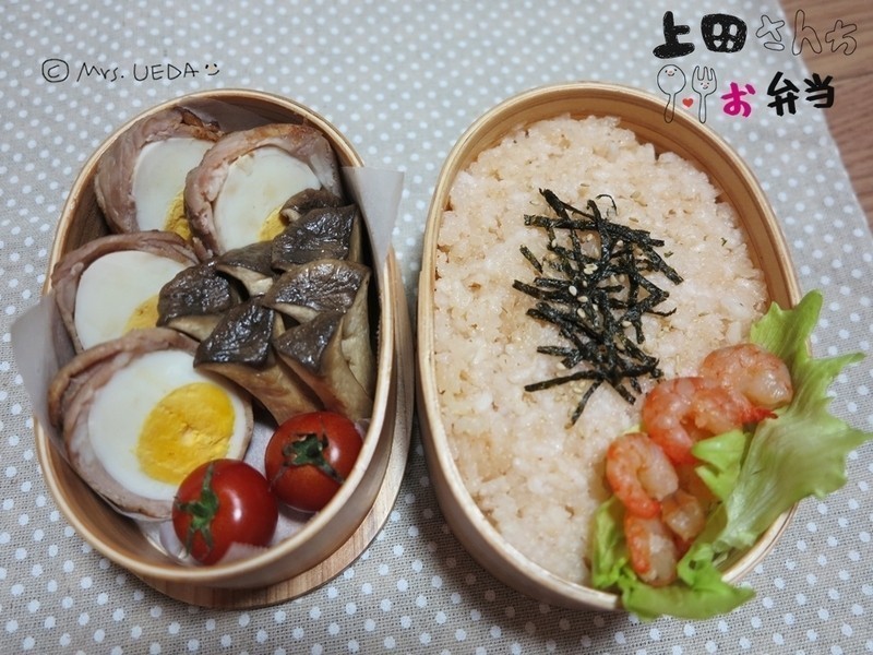 ��ʽ��̫�Ӵ���/���⵰��/���Ϳ��ʹ��㵱������