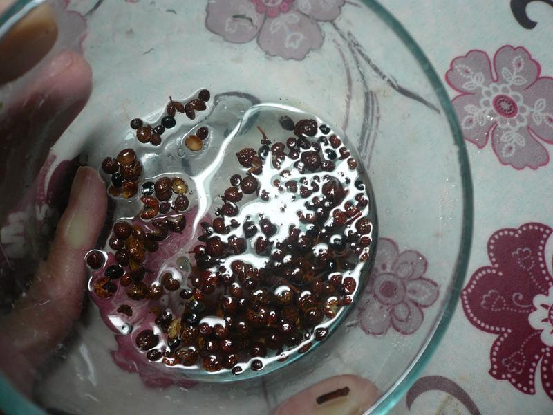 ����Ǻ�������͵�����