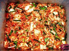 �������ײˣ��ٳɰ棩������