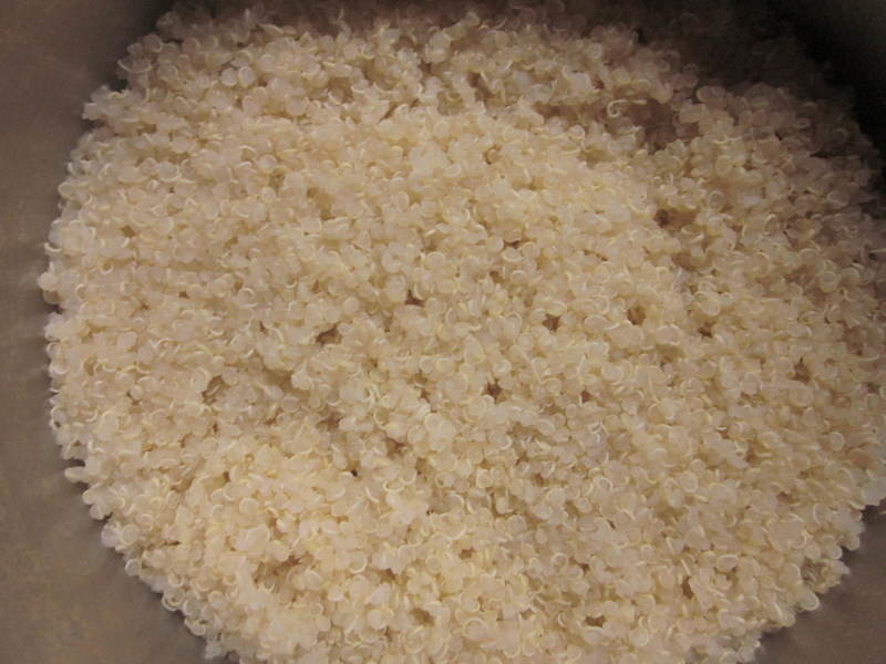 ��ʽ�׽�Ұ��޼���ɵ�����