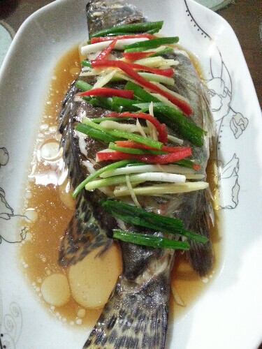 �������͹��������