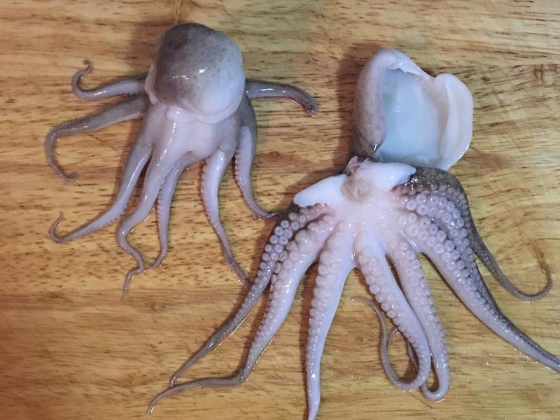 ��ζ������Ϻ˫ƴ������