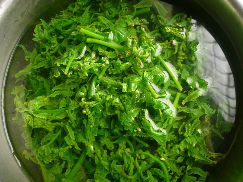 Ұ�˹�è��Ʒɳ����������ζ¶������