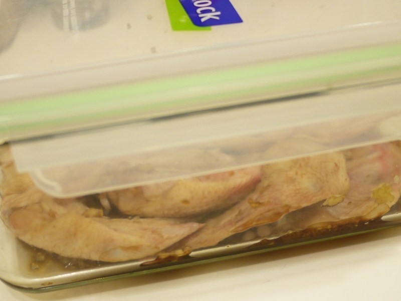 ����������-���ÿ����(α)�����㼦�������