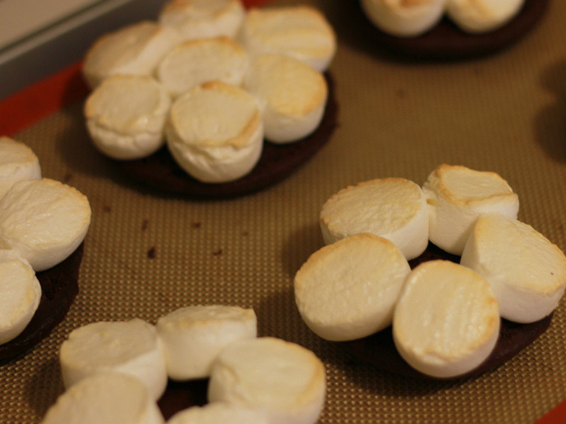 �ɿ����ޱ���(�޻�����)������