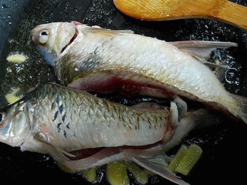 �ܲ�������������