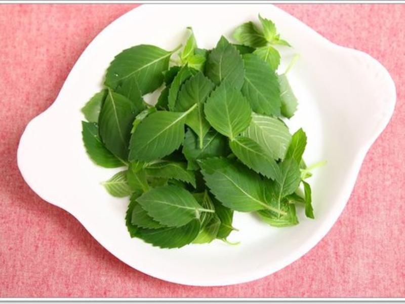 ����̩ʽ���׼�������