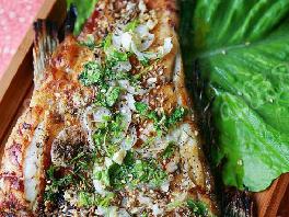 ���ƿ����ŵ�����