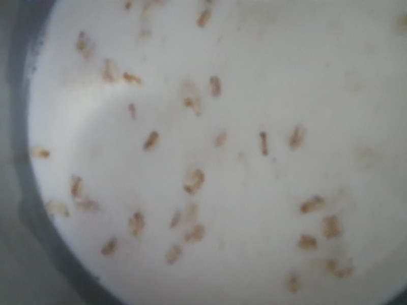 �������������������