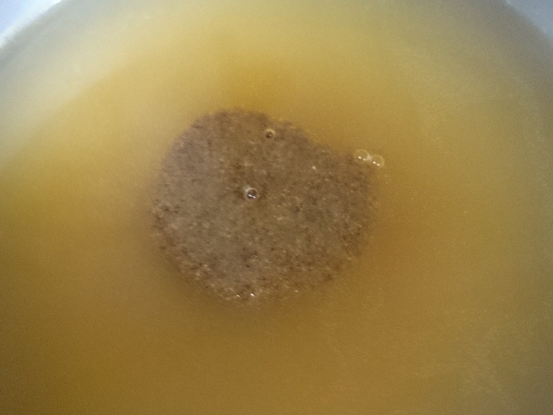 ��ը������֦Ȧ������