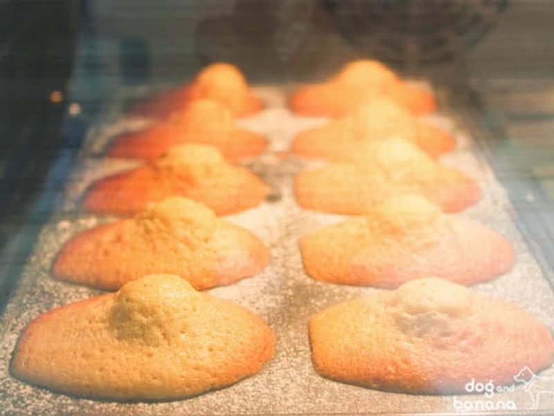 �������������������