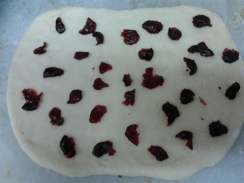 �Ÿ������Խݮ���������