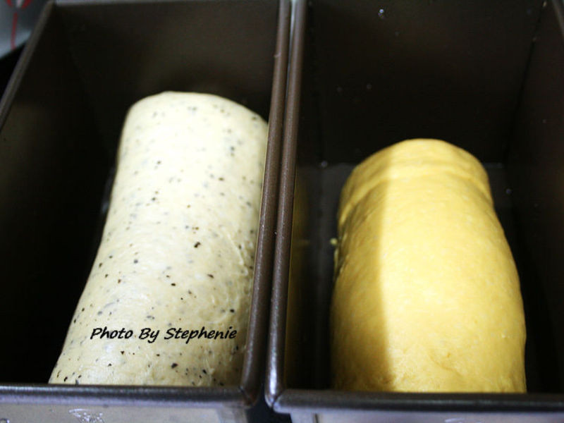 ���̲���˾ & ����ع���˾������