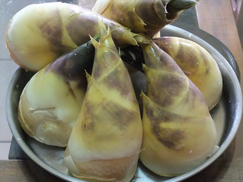 ��������Ź���������