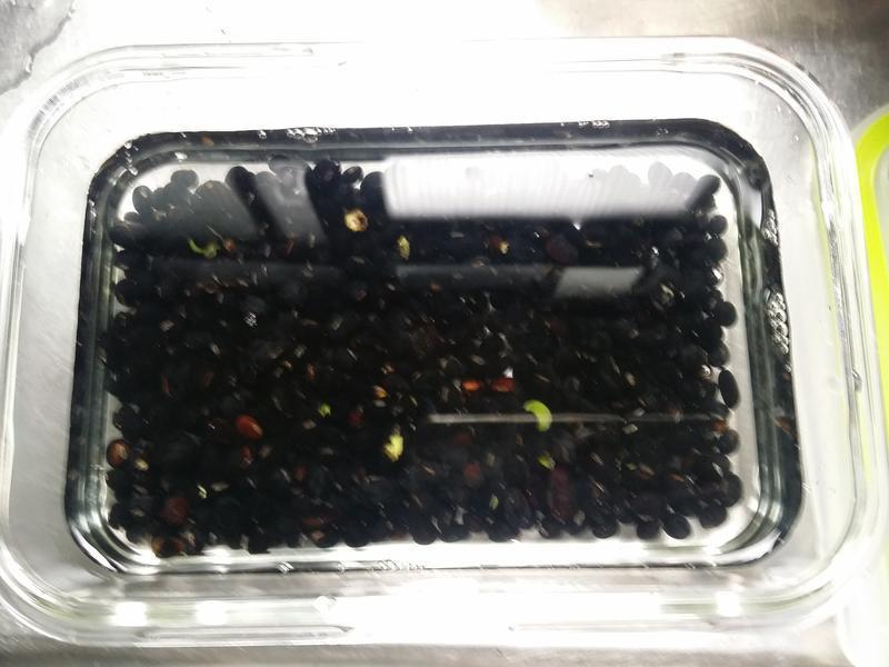 ���������ڶ���(���)������