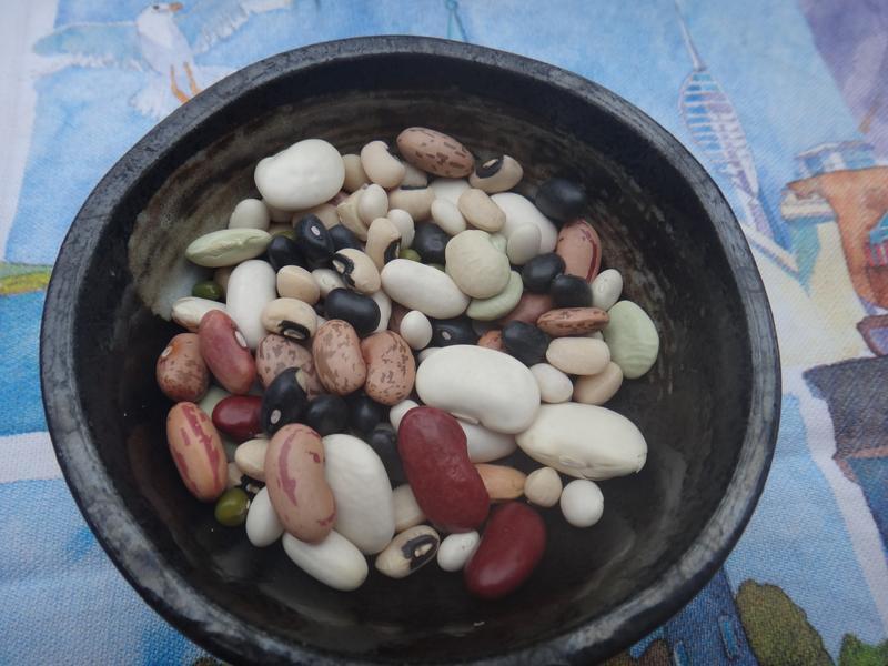 �ϵ�������϶�ɳ��������