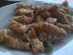 ����Ϻ�õ�����