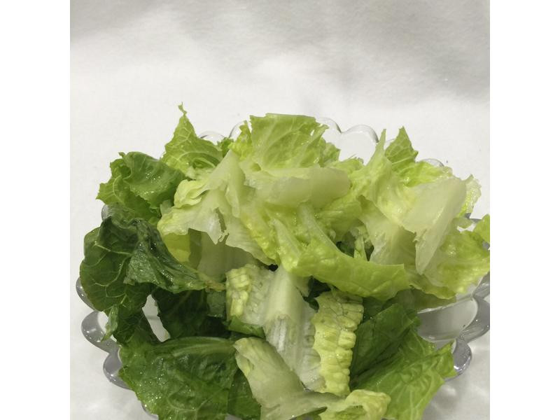 ������͵�����