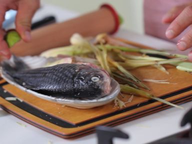 ̩ʽ�����������