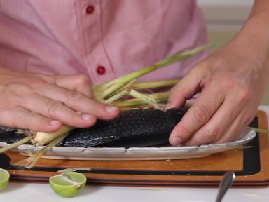 ̩ʽ�����������