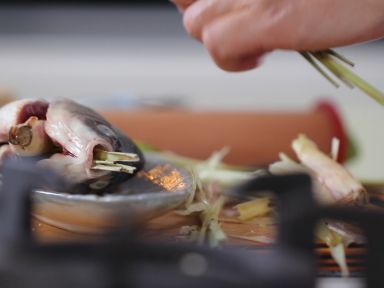 ̩ʽ�����������