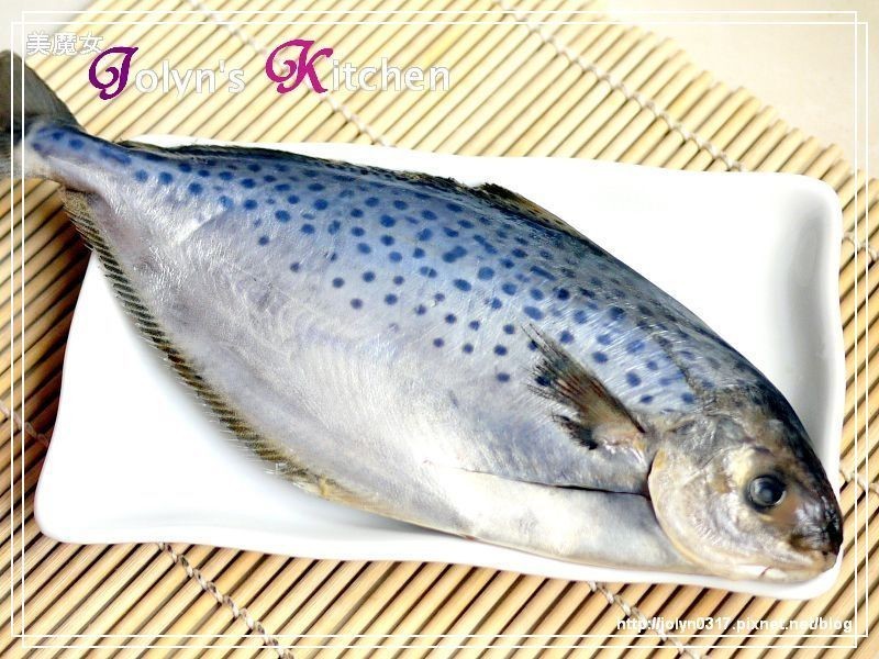 ?��̩ʽ���ʻ����㡿--��ħŮJolyn������