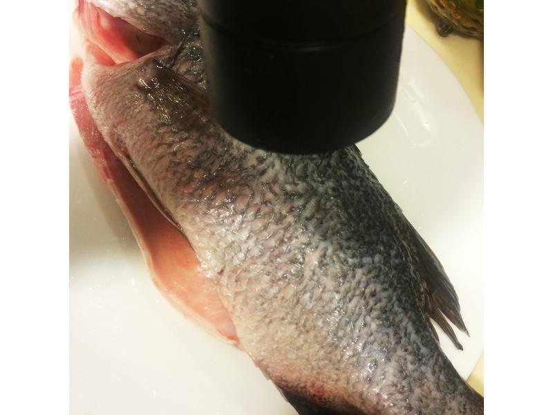 ̩ʽ�������������