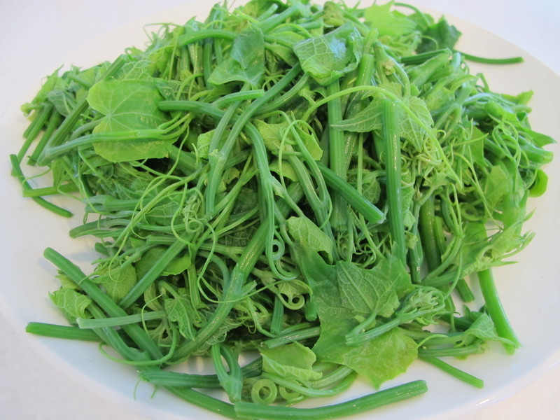 ������?��������˵�����