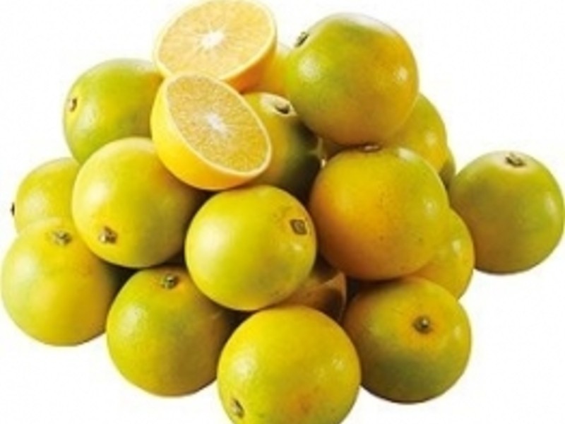 ����ɳ��������