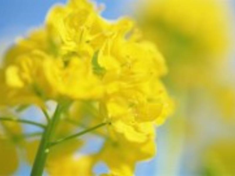 5���ӿ쳴����˻�������