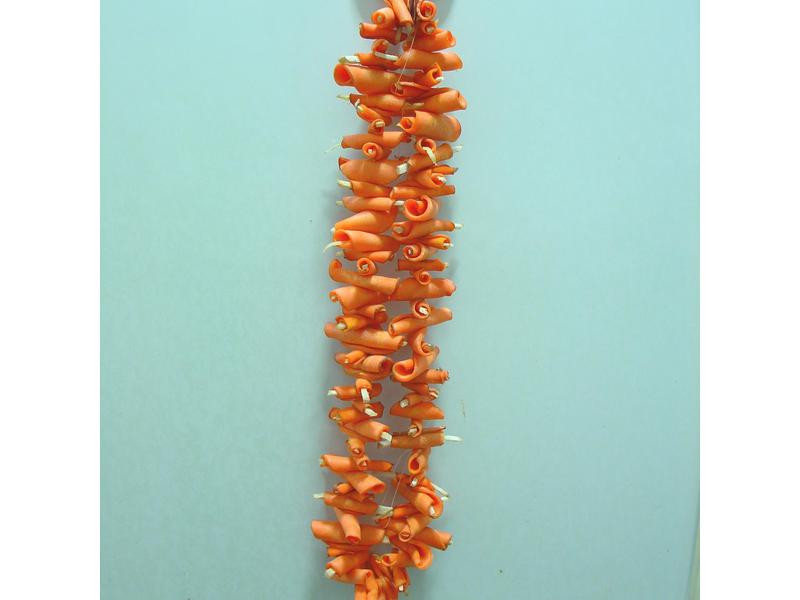 ������ܲ���������