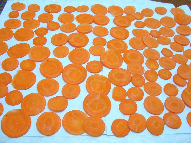 ������ܲ���������