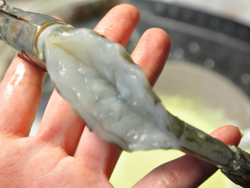 ���㸯�齴��Ϻ������