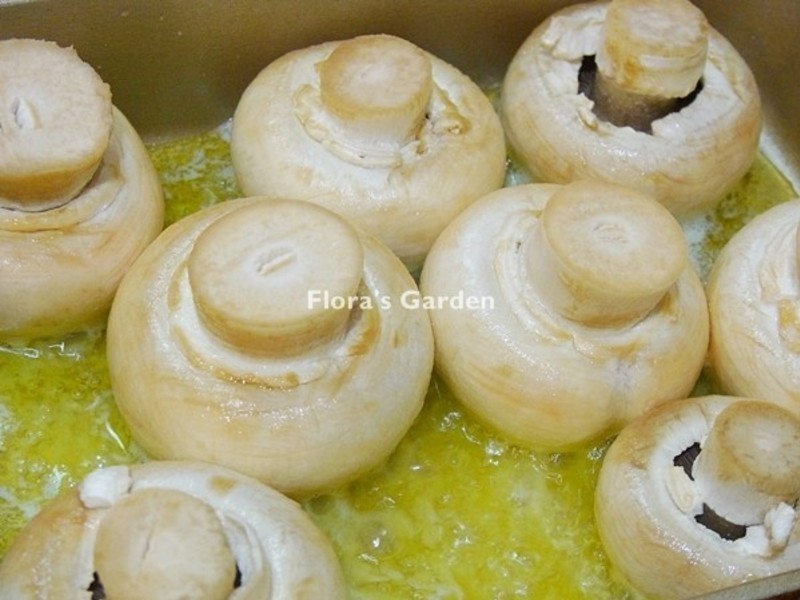 [��������]�h��Ģ��������