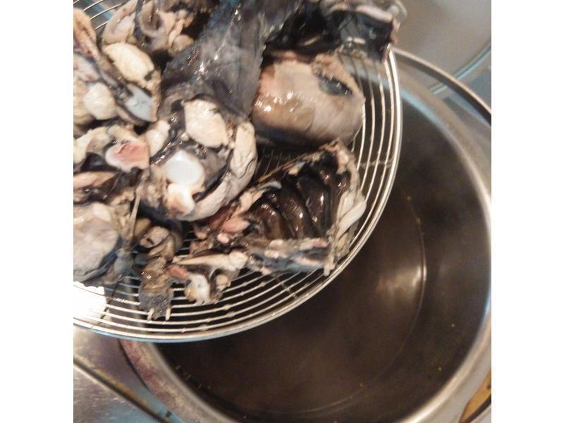 �ڹ����Ｆ��������