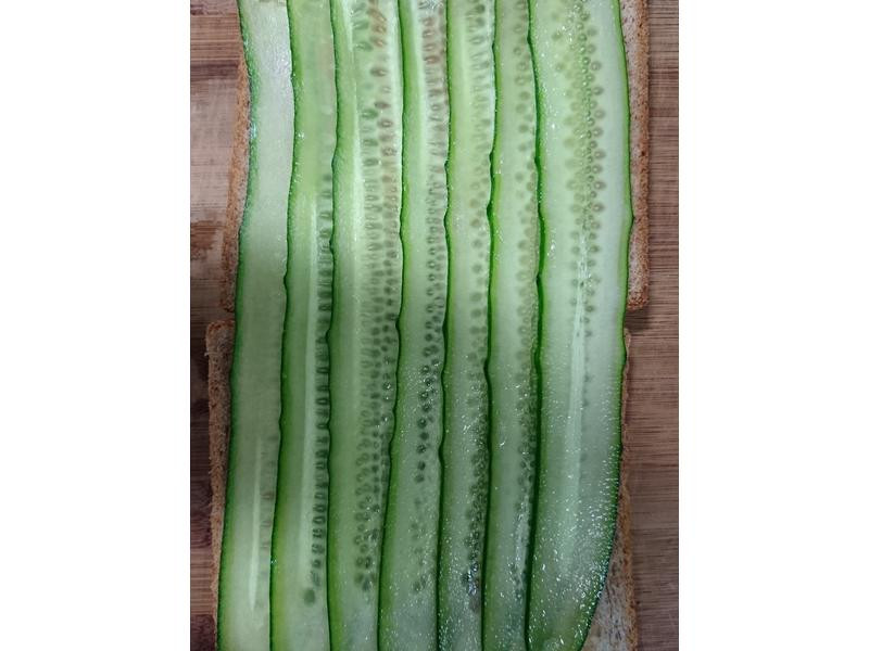 С�ƹϻ�������˾������