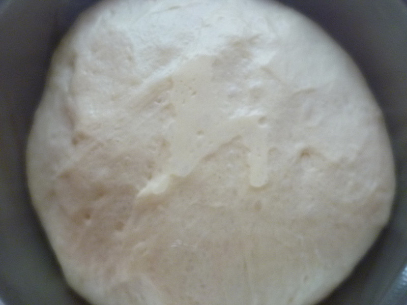 [������?bread] ������ɫ����Ȧ��������