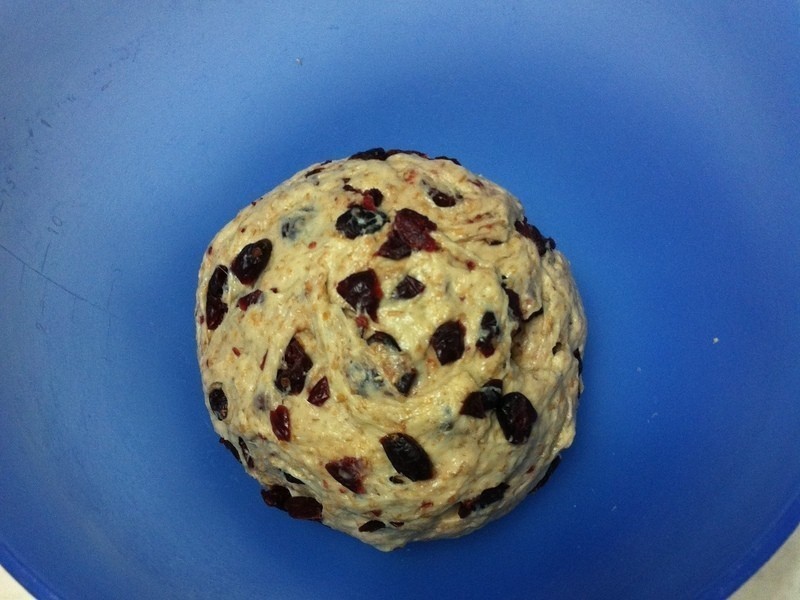 ����ȫ����Խݮ����������