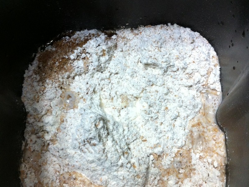 ����ȫ����Խݮ����������