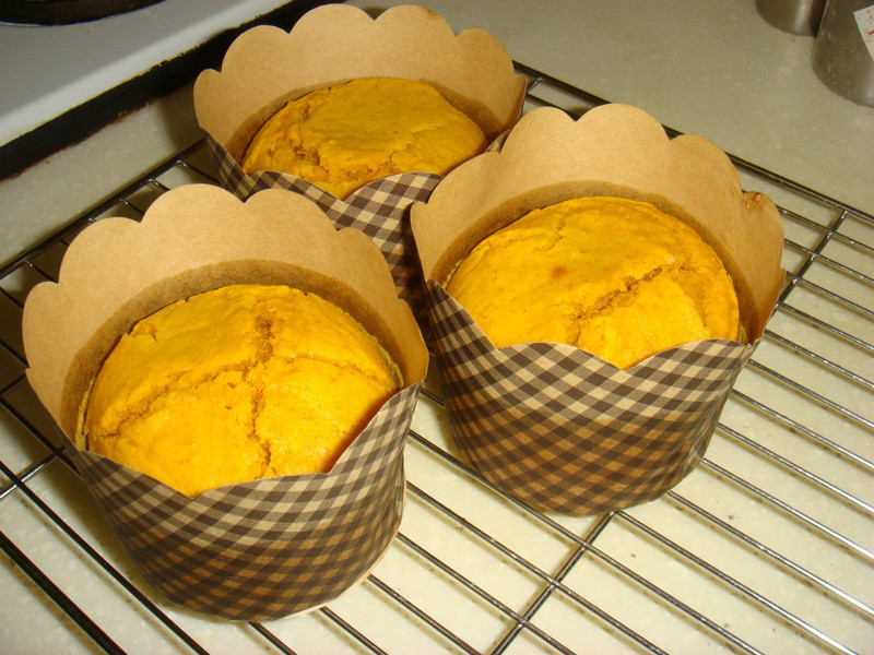 ȫ���Ϲϵ��������