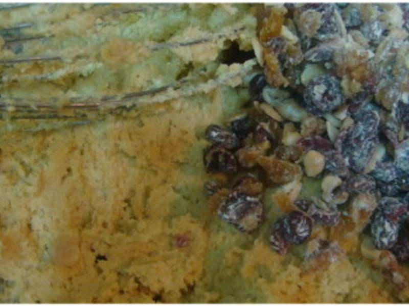 ���ɱ����ɸ������