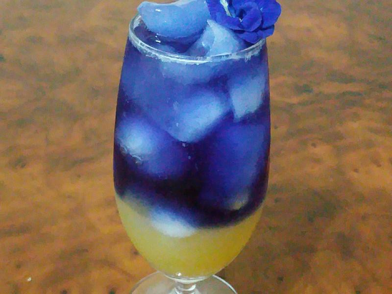 �������۳�֭������