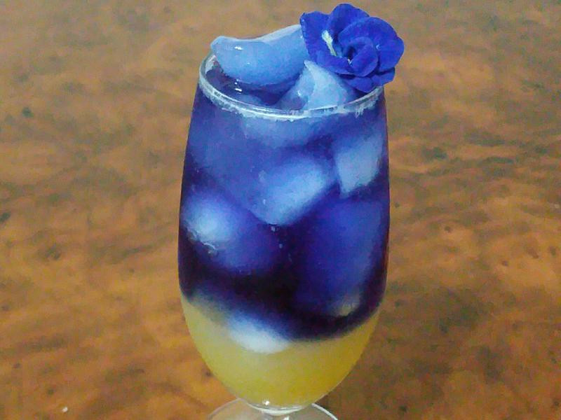 �������۳�֭������