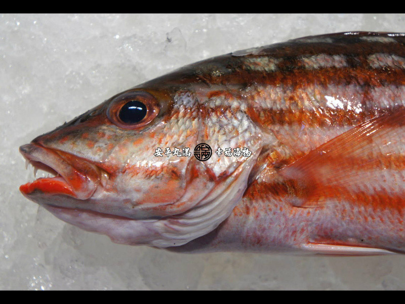 ����н�˿����������