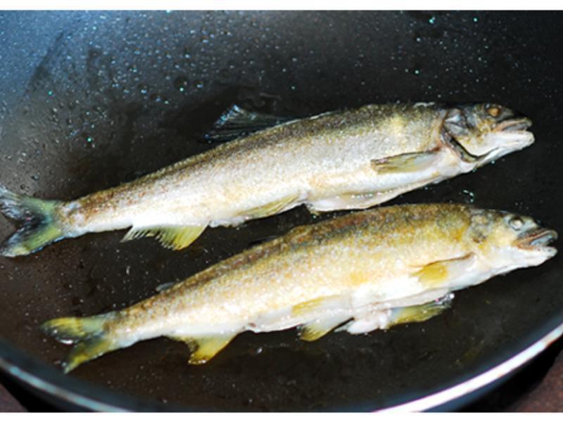 �������������