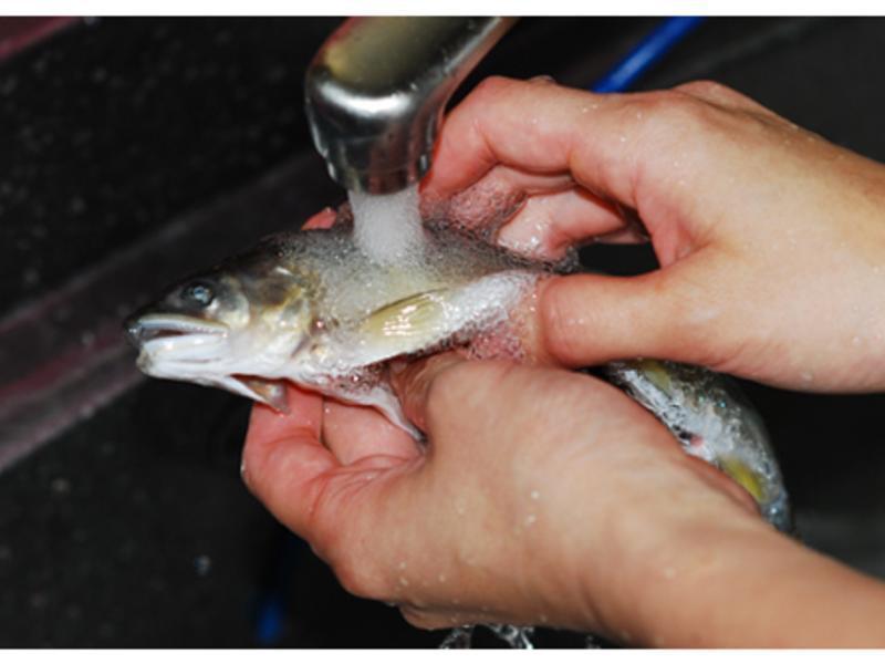 �������������