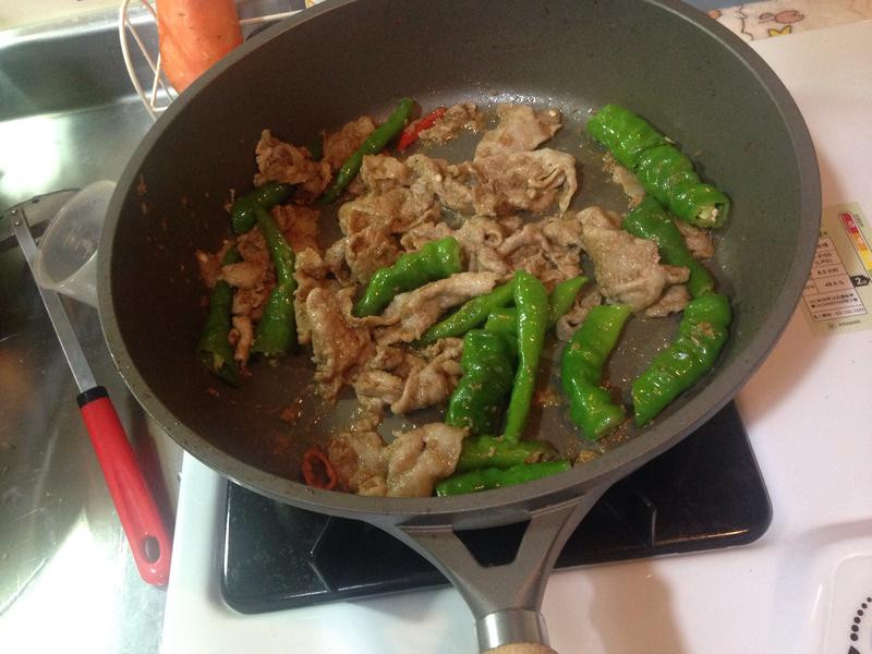 ����ɳ������Ƭ������